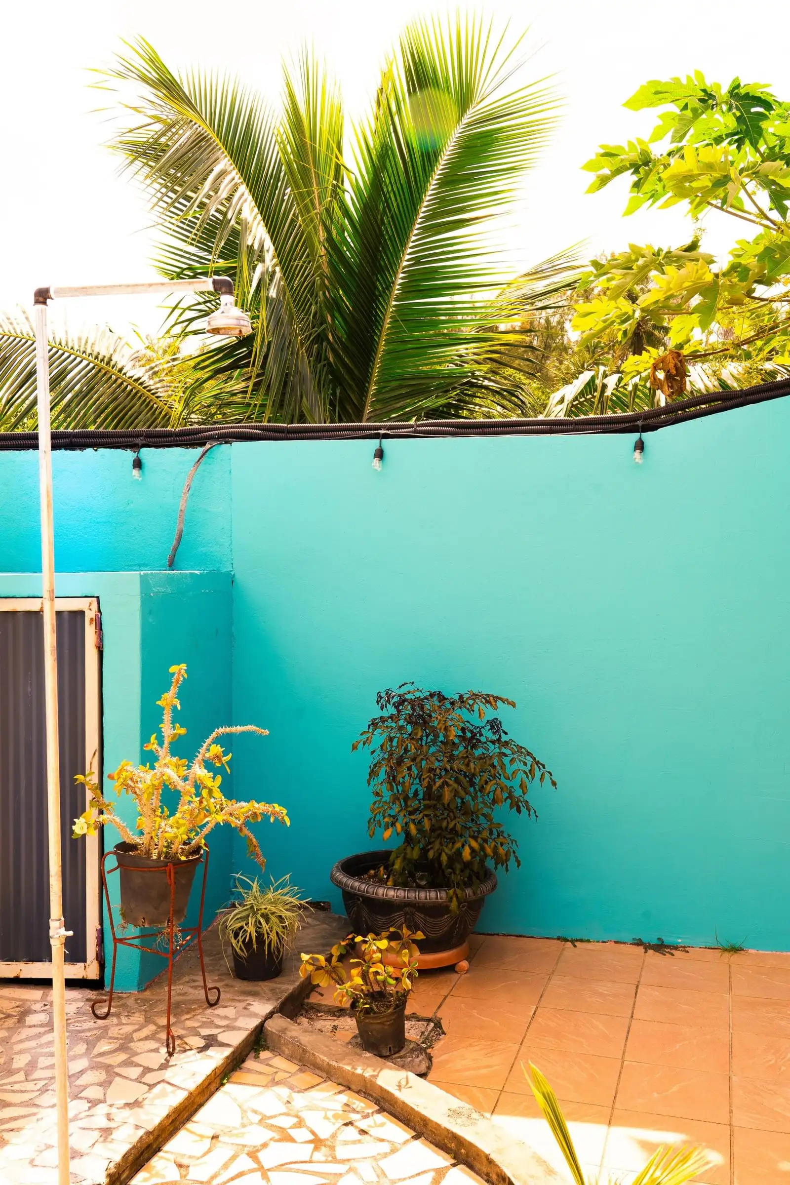 Turquoise garden wall at the pension, potted plants and an outdoor shower under the palms