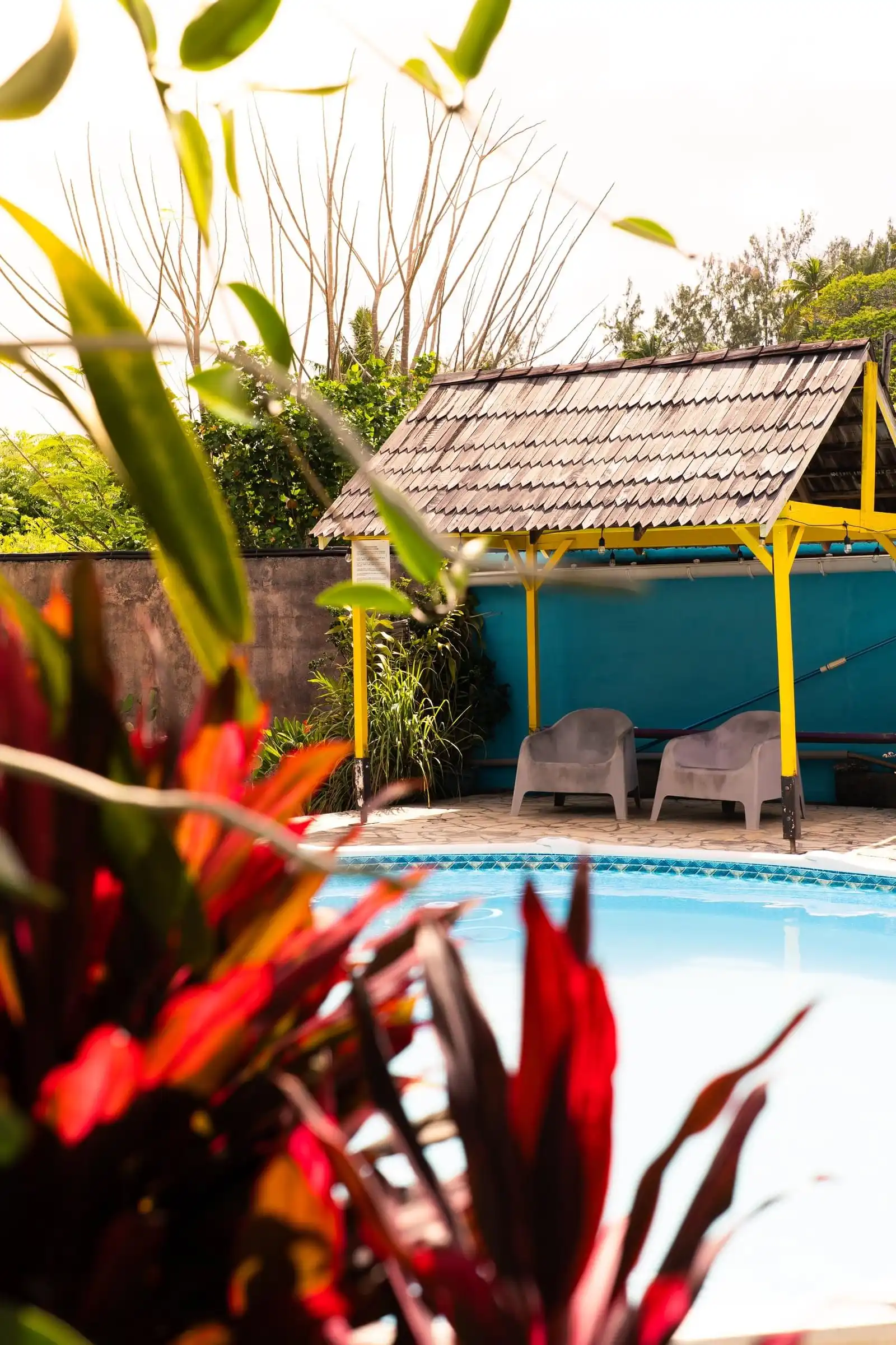 Paillote en bois et fauteuils au bord de la piscine, entourés de plantes rouges