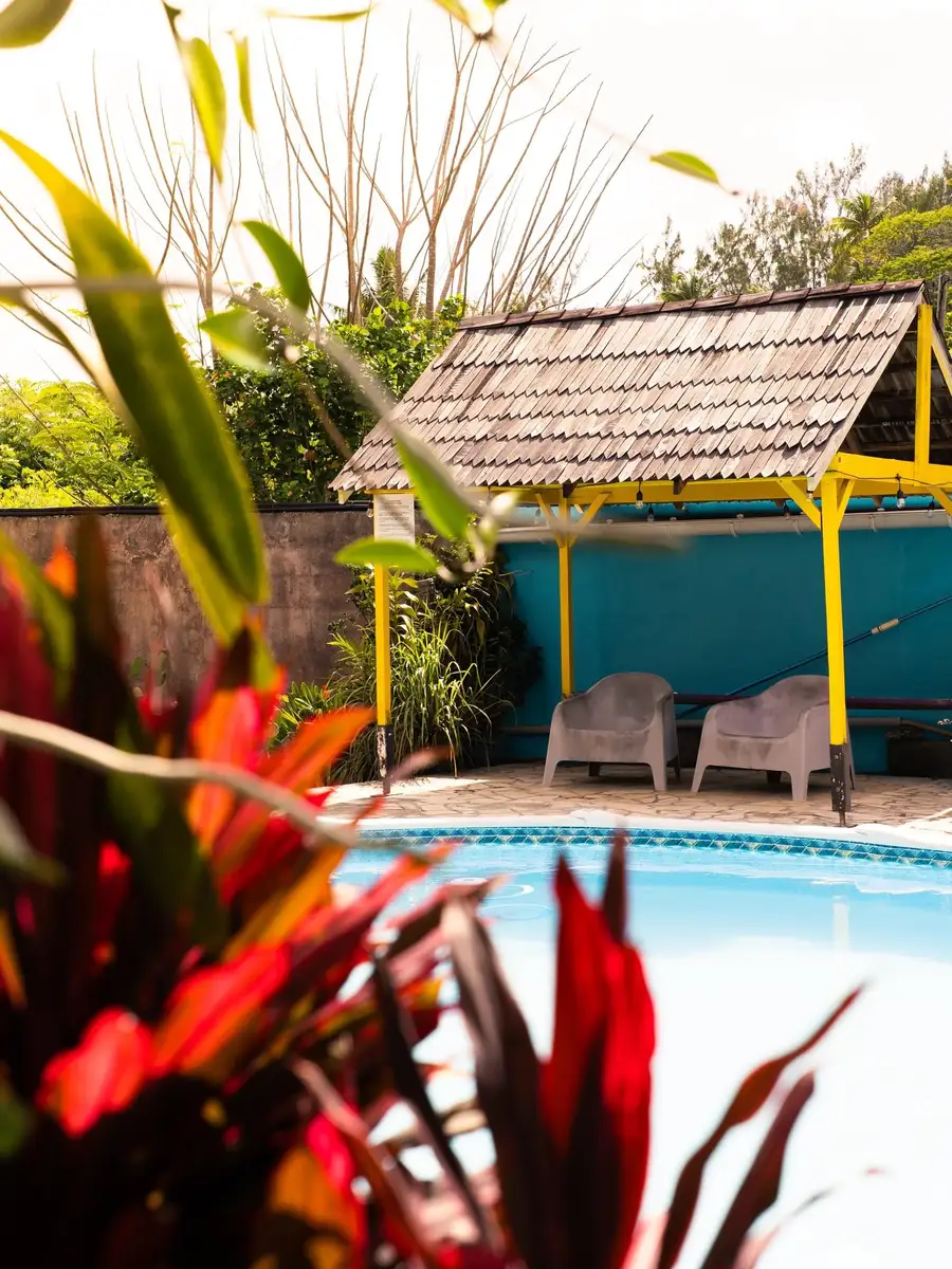 Paillote en bois et fauteuils au bord de la piscine de la pension, entourés de plantes rouges